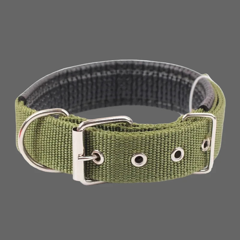 Large Adjustable Hoop Dog Collar