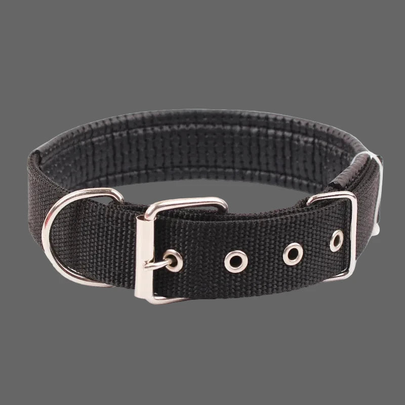 Large Adjustable Hoop Dog Collar
