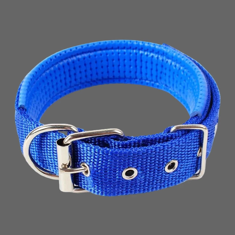 Large Adjustable Hoop Dog Collar