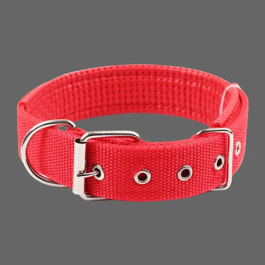 Large Adjustable Hoop Dog Collar